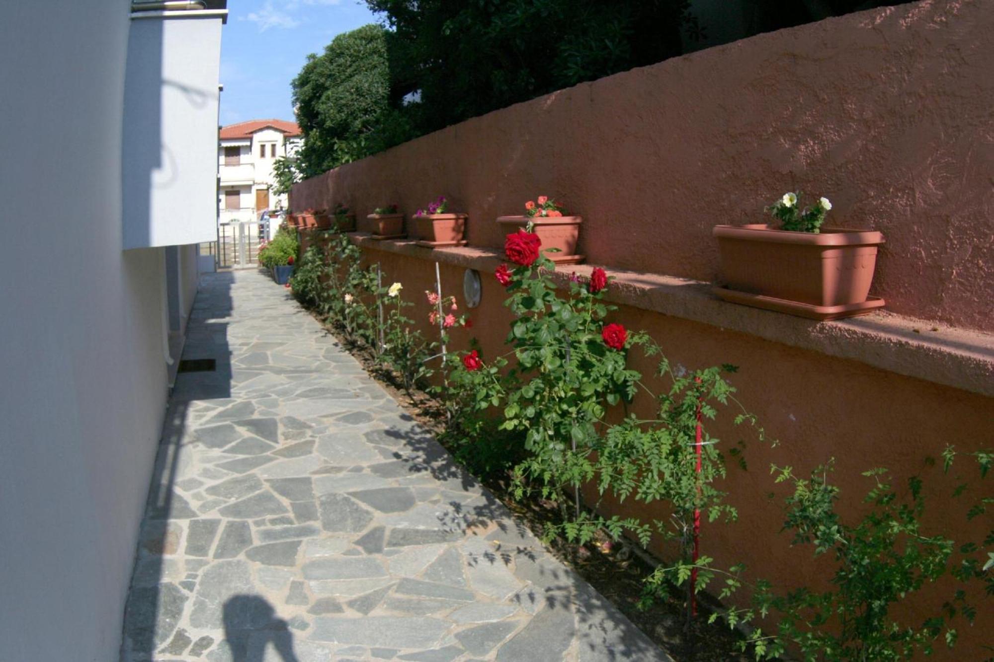 Mare D'Oro Apartment Sarti Exterior foto